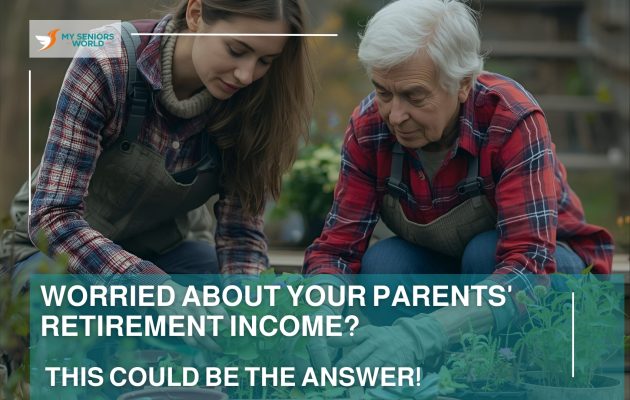 retirement income_pov_team MSW