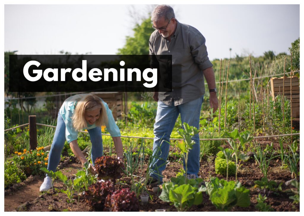 gardening is one of the hobbies that can boost your Retirement Income