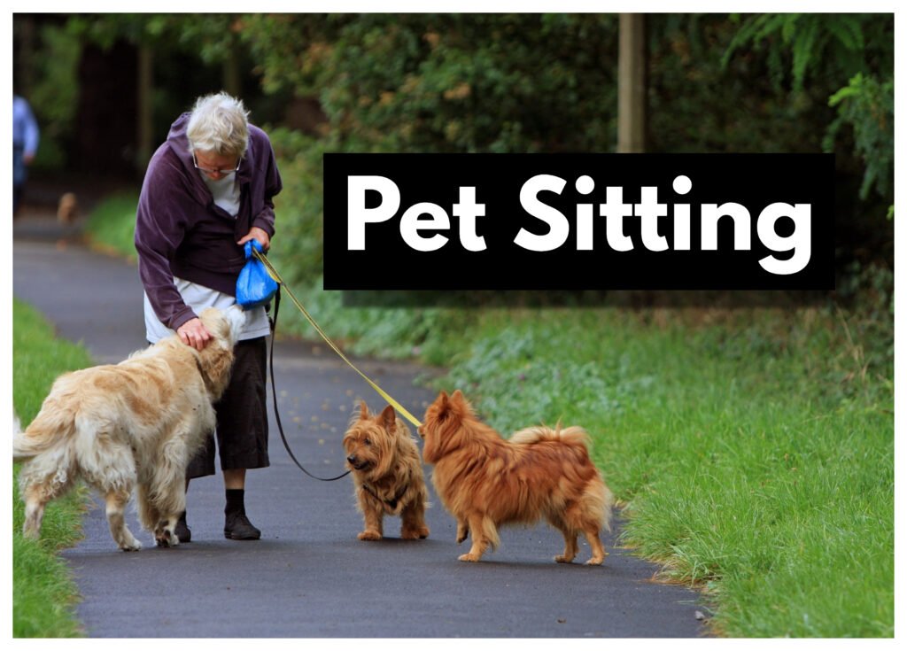 Pet sitting isn't only a great way for seniors to make some extra money, it's also a fantastic opportunity to socialize with both people and animals!