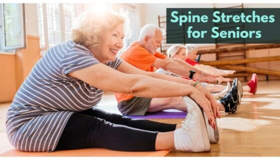 Getting Back on Track: Happy Spine Stretches for Seniors