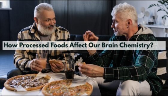 How Processed Foods Affect Our Brain Chemistry