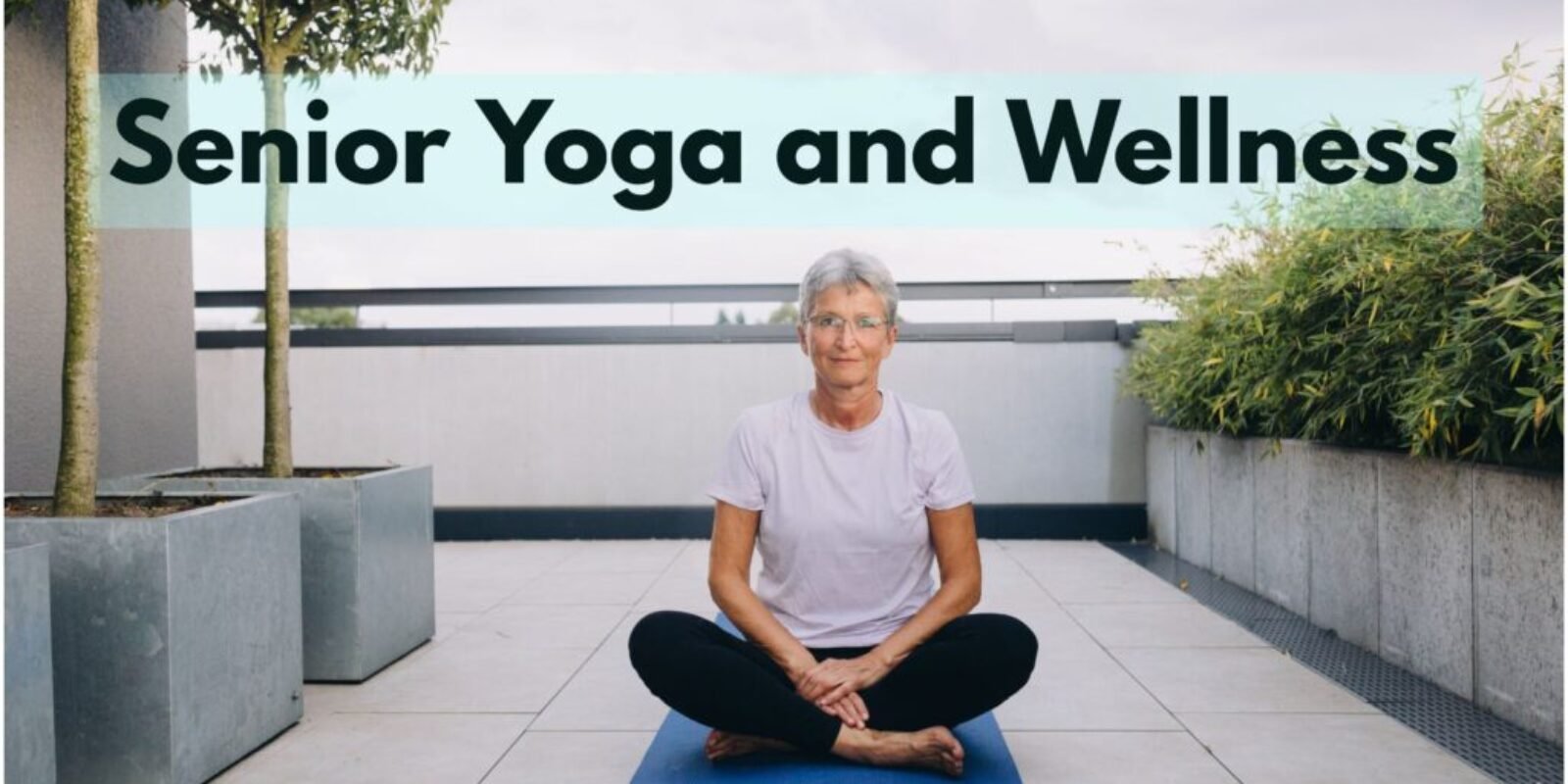 Senior Yoga and Meditation: Promoting Great Wellness and Vitality in Later Years