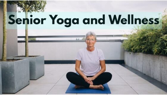 Senior Yoga and Meditation: Promoting Great Wellness and Vitality in Later Years