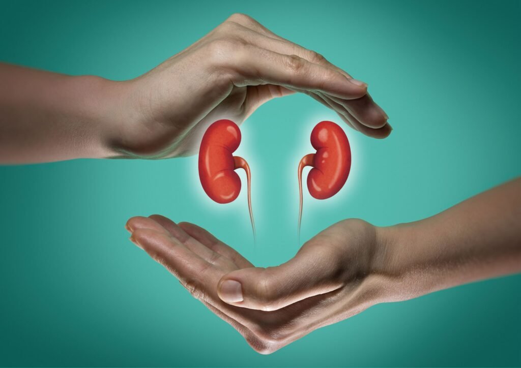 Adequate water consumption is essential for supporting the vital functions of the kidneys.