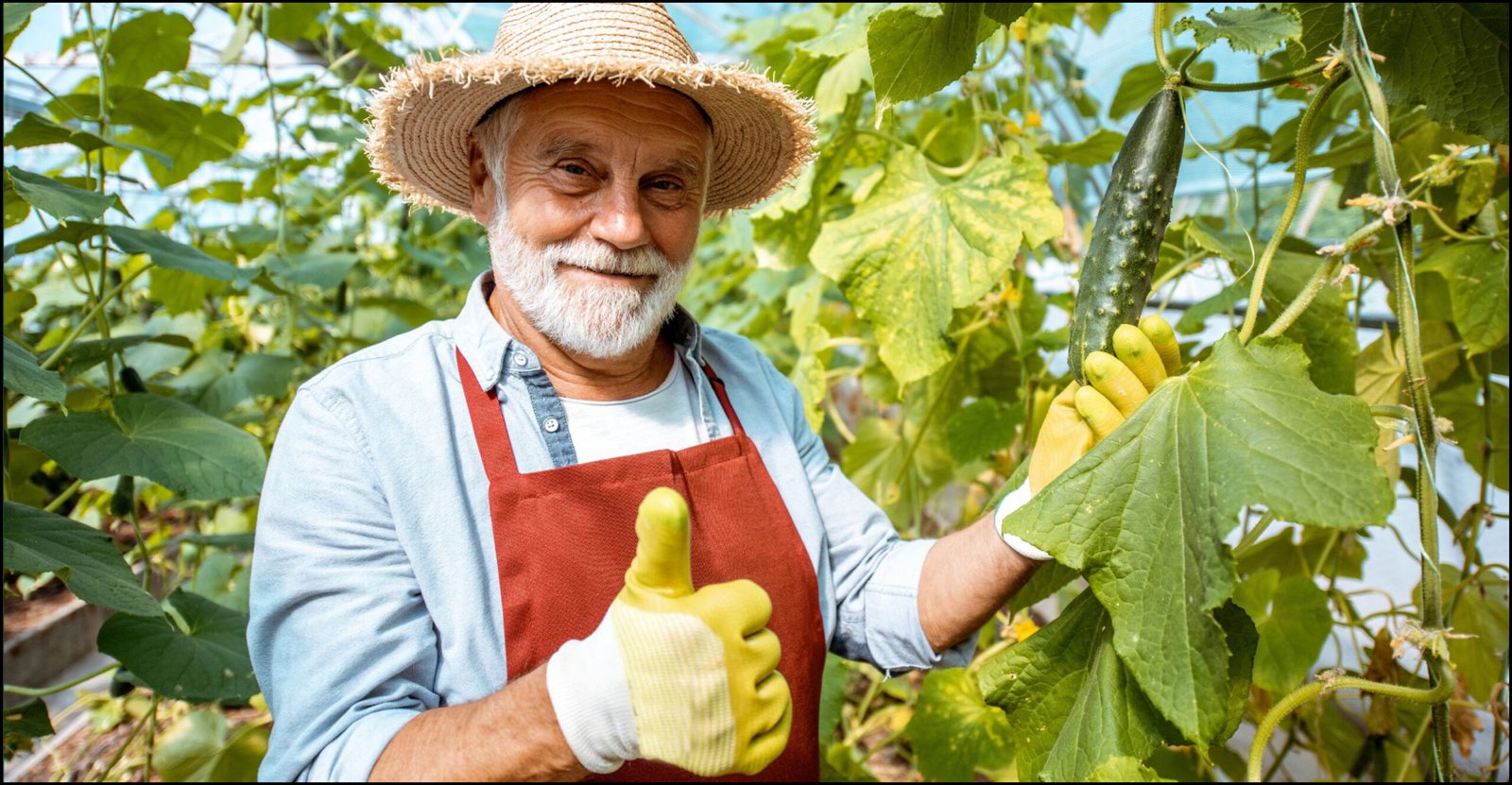 The Green Solution: How Senior Gardening Help Reduce Cost of Living Pressures