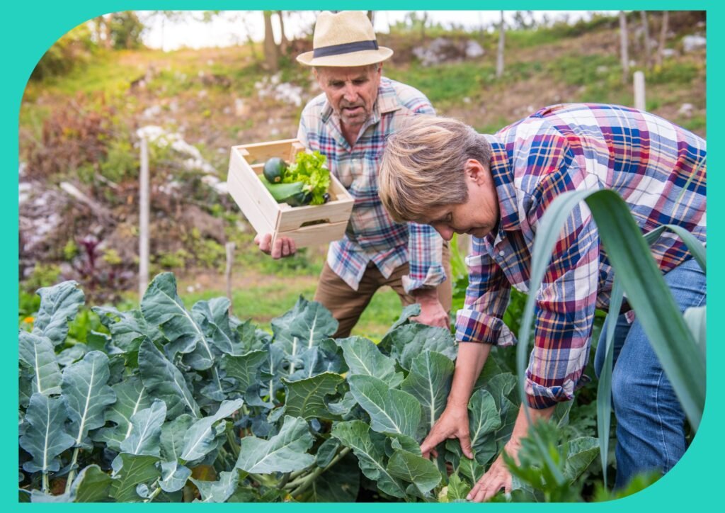 Gardening benefits seniors' health, and improves well-being through planting, weeding, and watering.