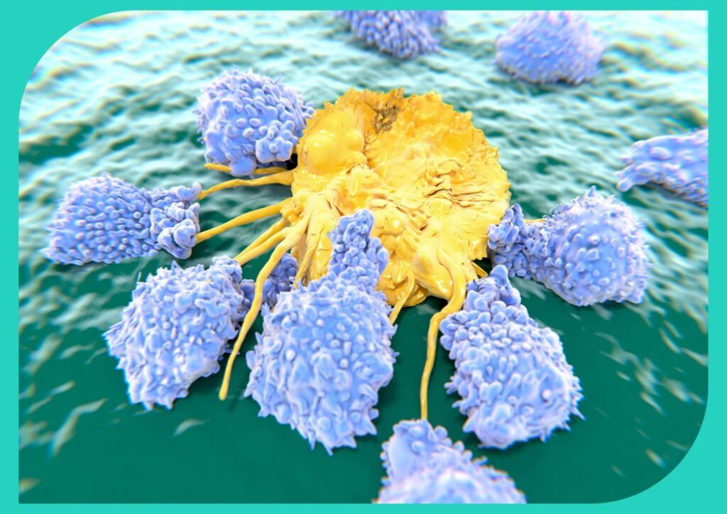 Cancer cell being destroyed by cytotoxic T cells.