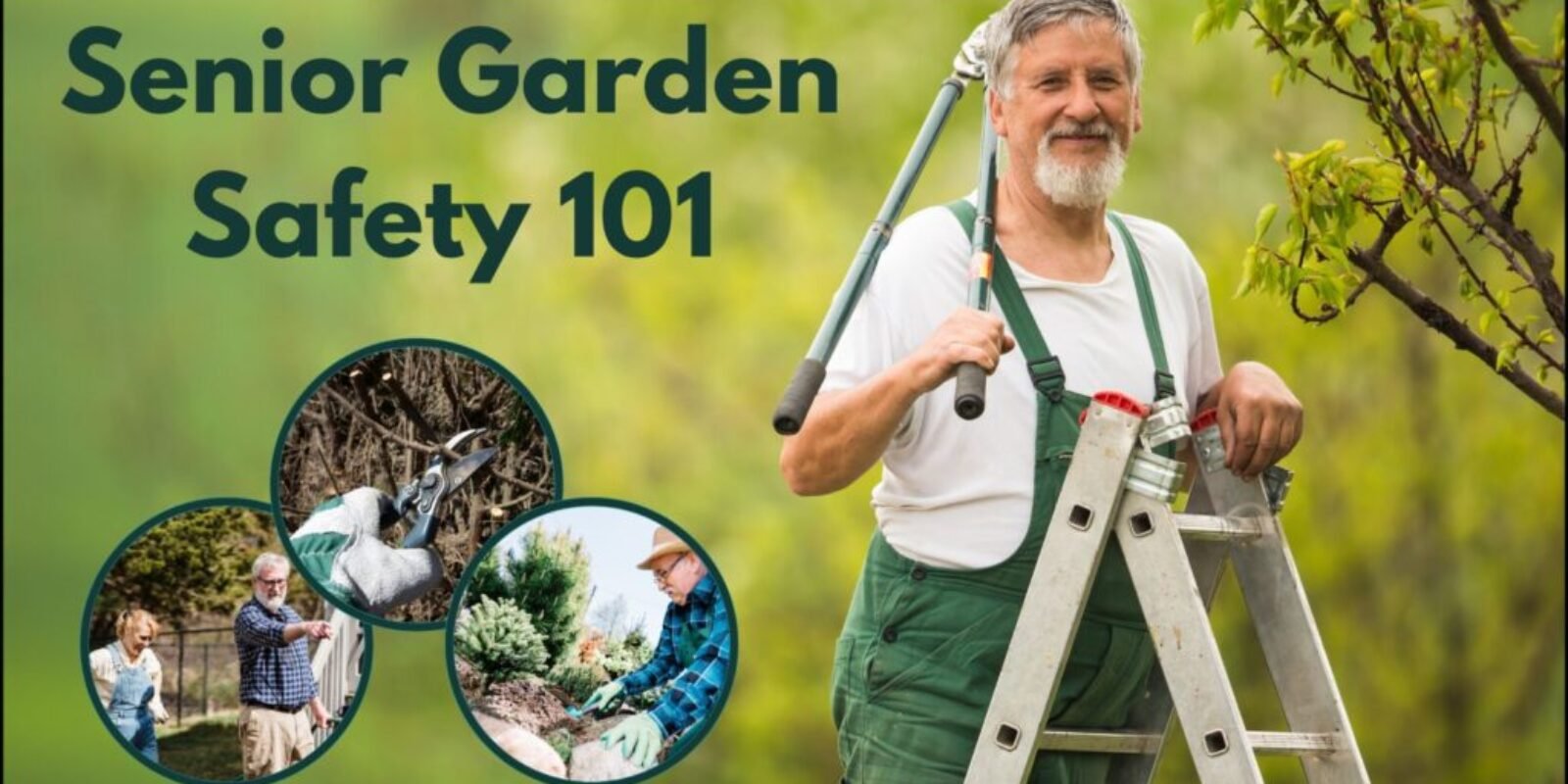 Senior Garden Safety 101: Tips and Tricks to Prevent Falls and Accidents