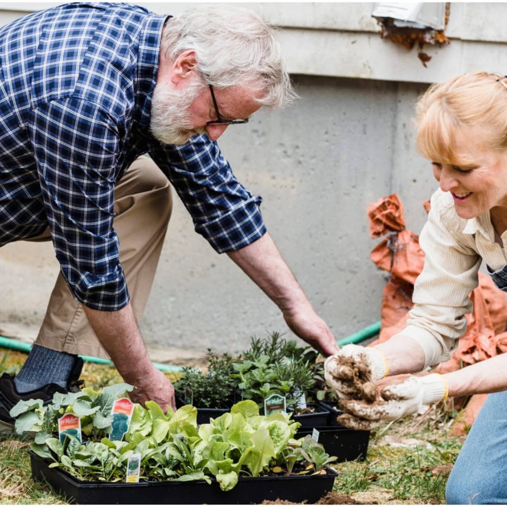 Sowing Seeds of Savings: Plan and Design a Senior Garden Without Breaking the Bank