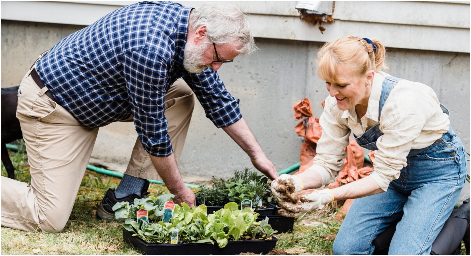 Sowing Seeds of Savings: Plan and Design a Senior Garden Without Breaking the Bank