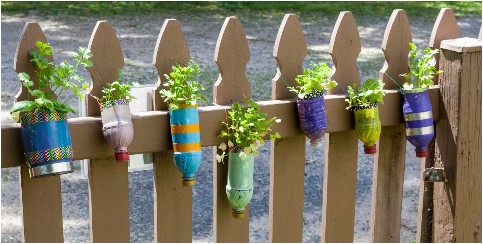 Transforming Trash into Treasure: Repurposed Planters for Thriving Senior Gardens