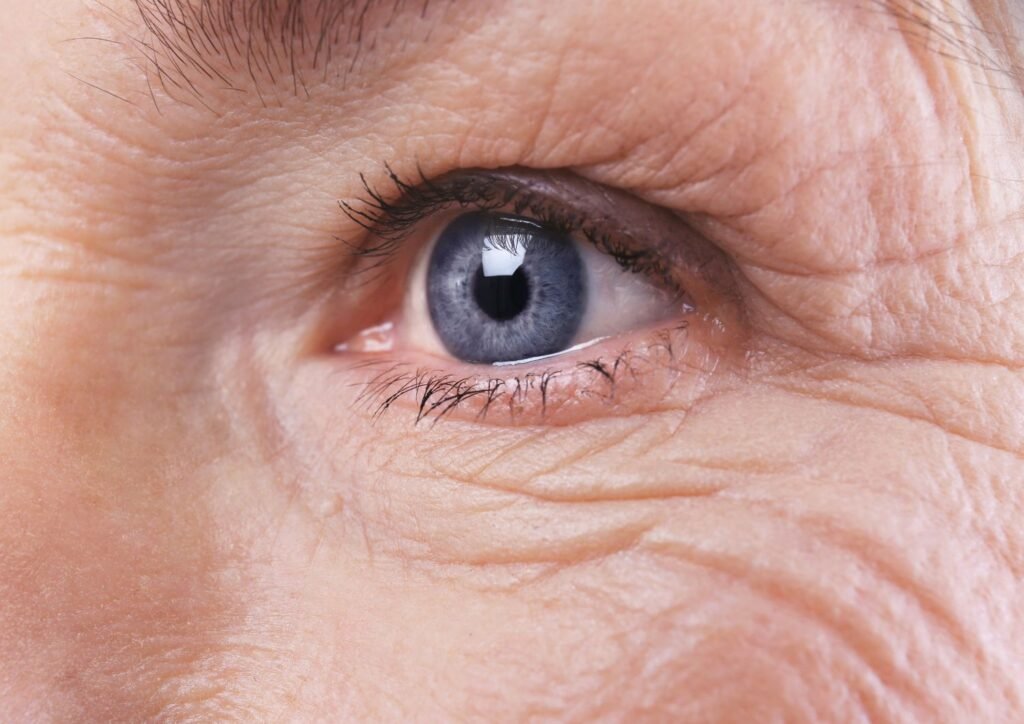 Discover the beauty in each wrinkle.