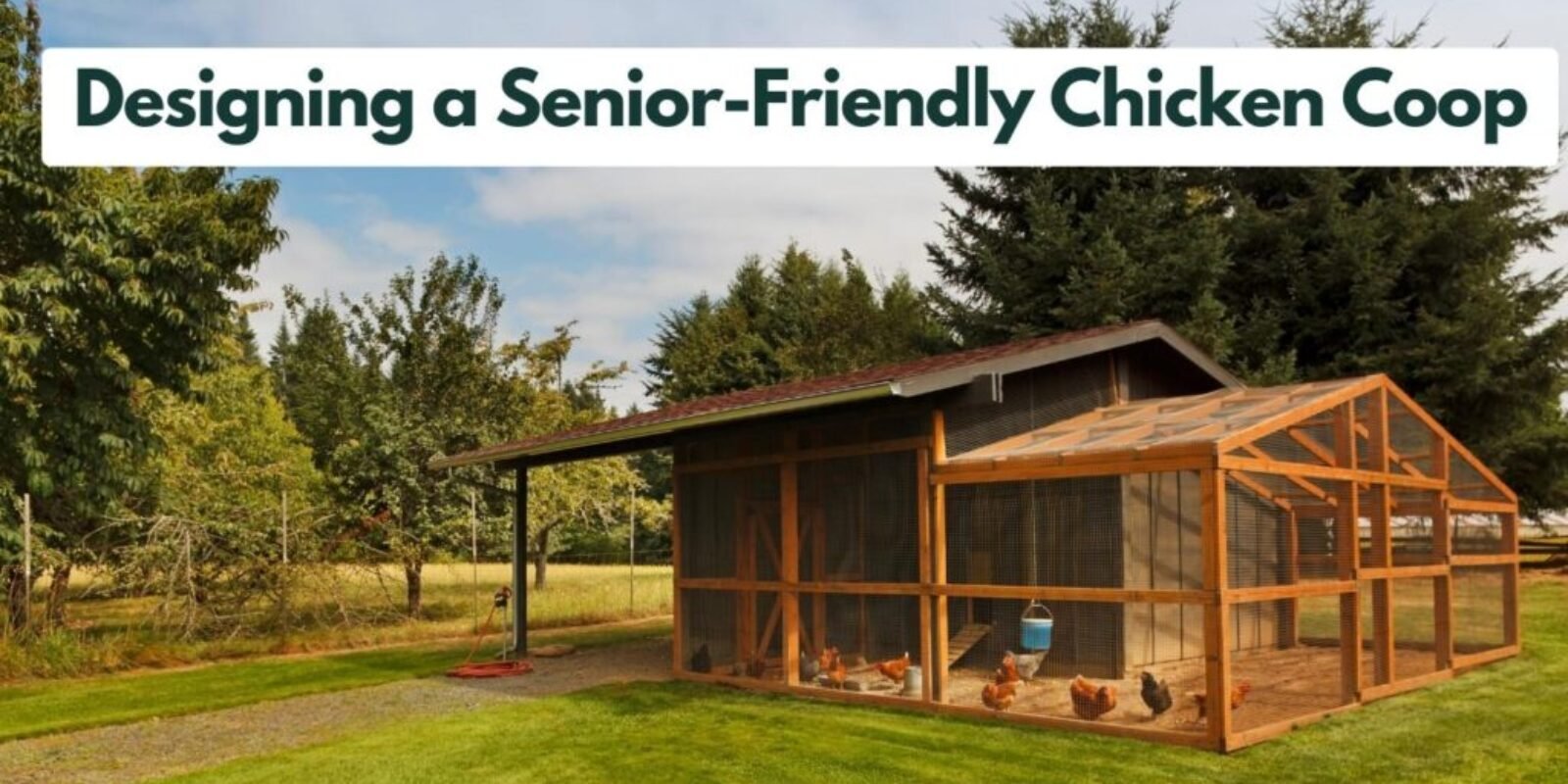 Premade Chicken Coops: Creative DIY Projects for Senior Chicken Enthusiasts