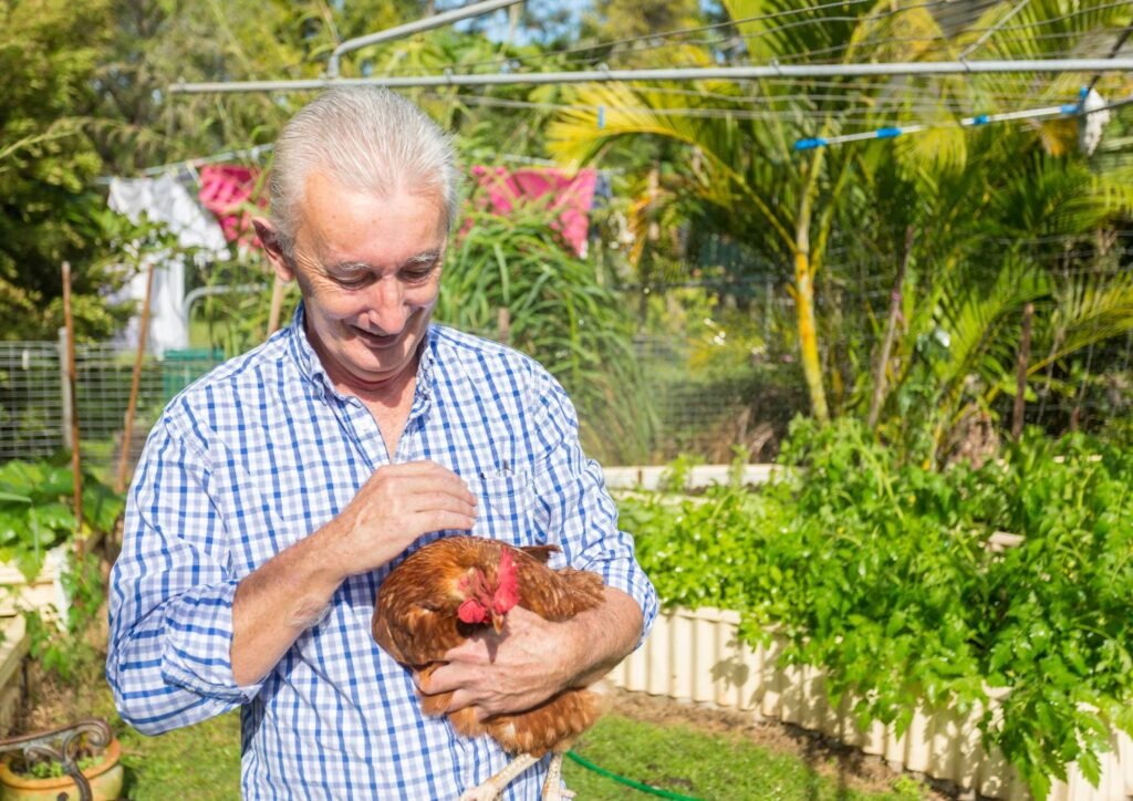 Consider both cost and quality when purchasing a premade chicken coop.