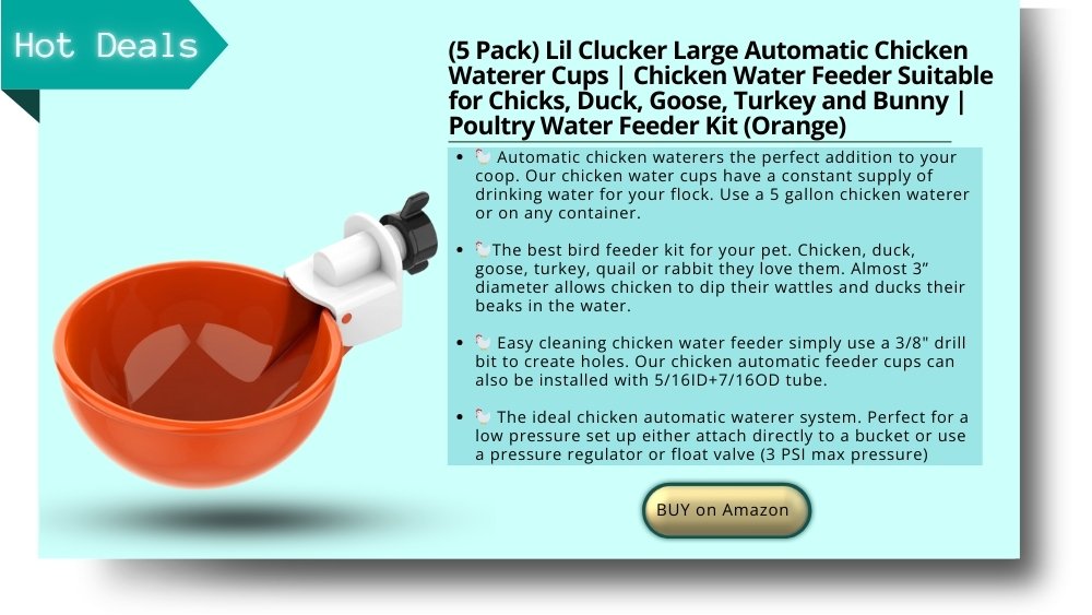 chicken waterer