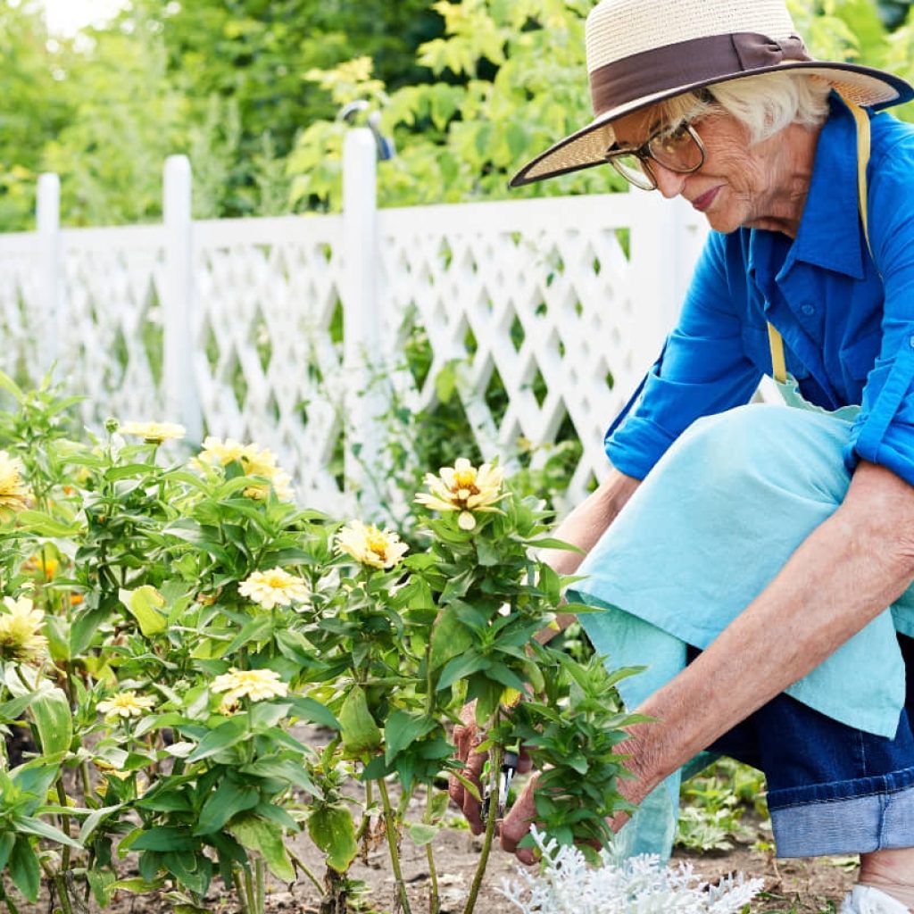 Senior Garden Essentials: Crafting Your Perfect Planting Checklist