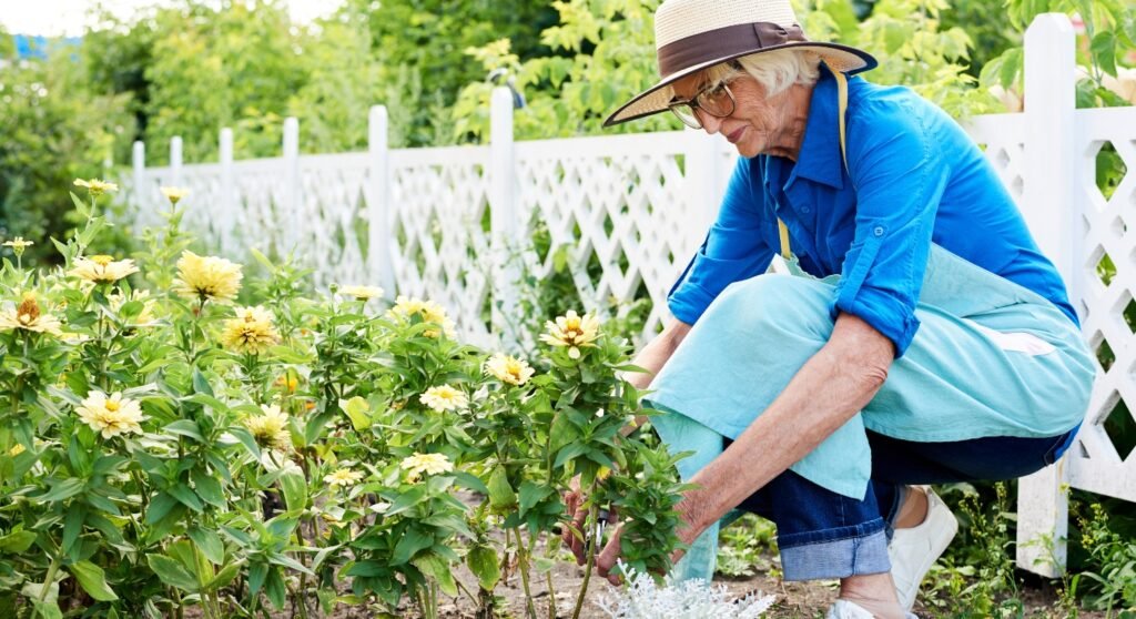 Senior Garden Essentials: Crafting Your Perfect Planting Checklist