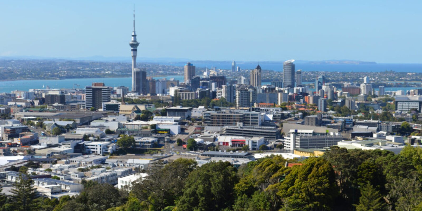 An aerial shot of the New Zealand city for the article "senior trip to Auckland."