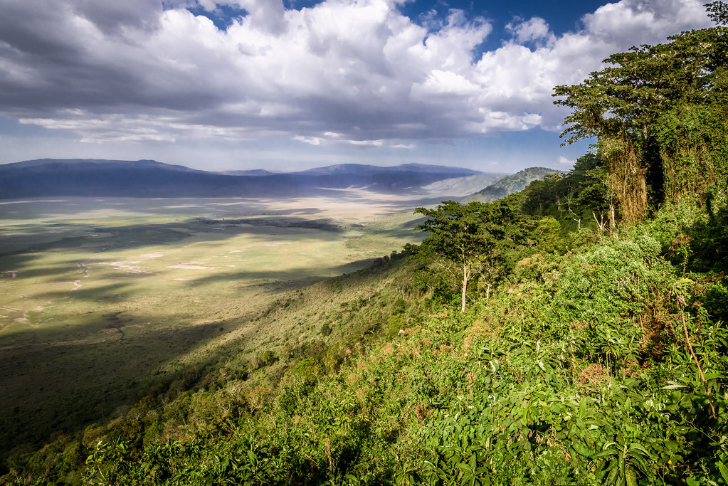 An image of a valley within the Ngorongoro Crater.