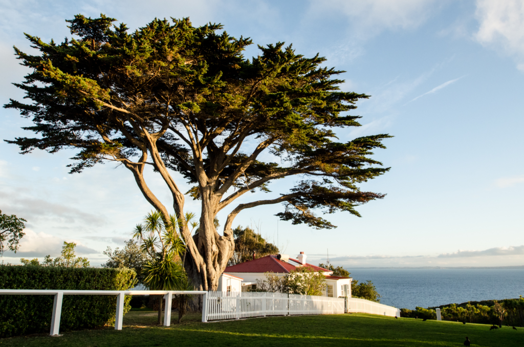 An image of a bunkhouse at Tiritiri Matangi Island.