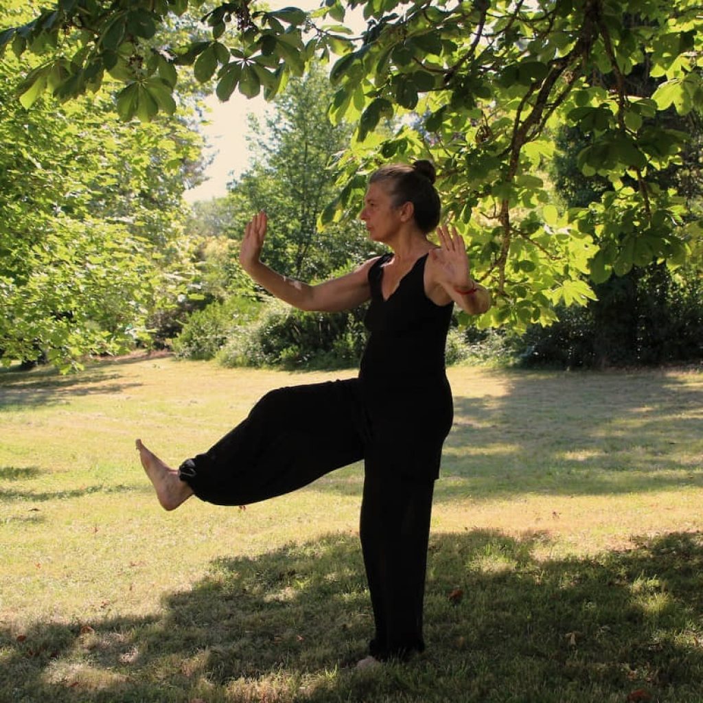 Senior Fitness Tai Chi and You