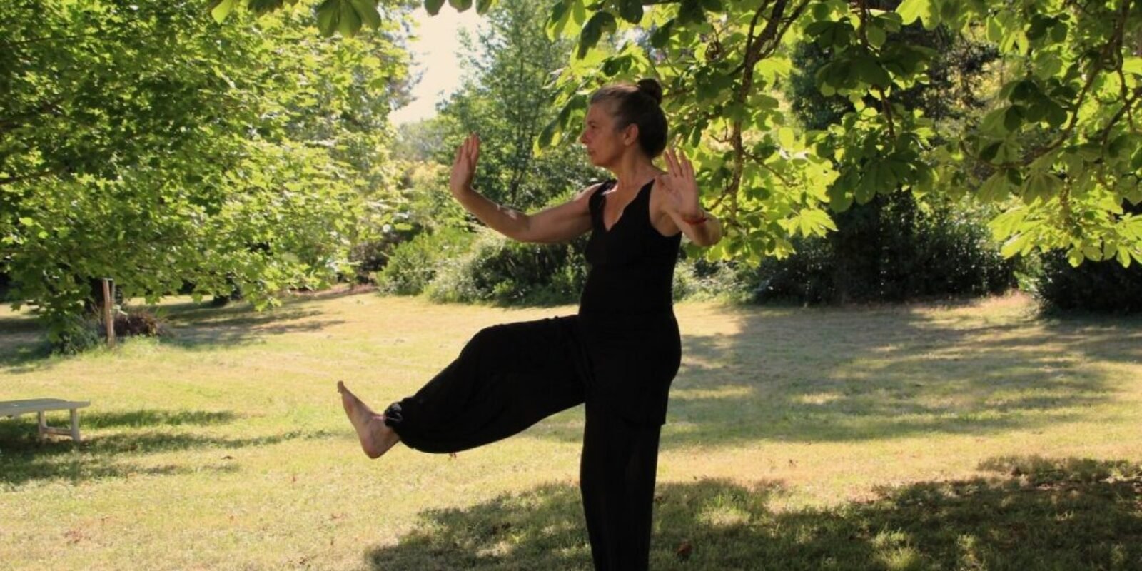 Senior Fitness Tai Chi and You