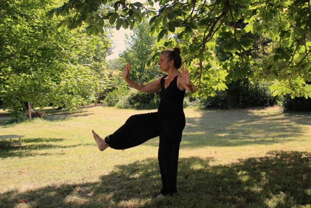 Senior Fitness Tai Chi and You