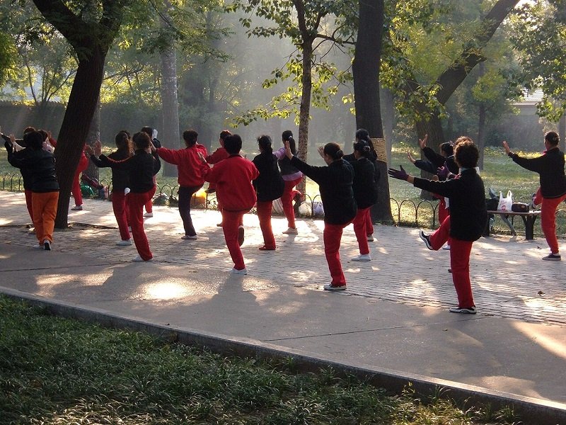 Senior fitness Tai Chi offers a graceful and gentle approach to enhancing physical and mental well-being in older adults.