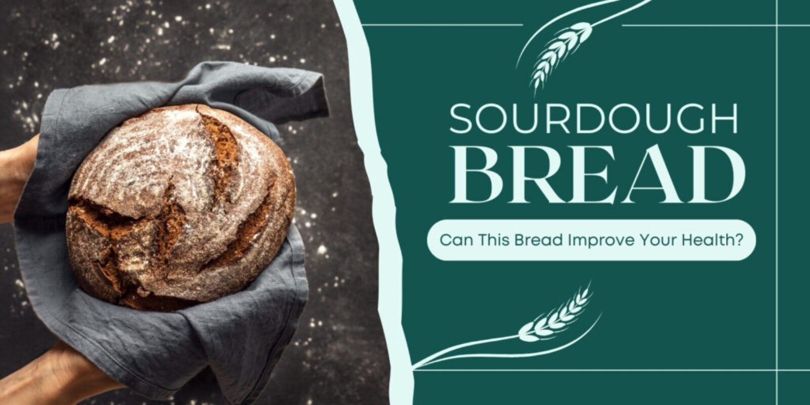 Sourdough Bread for Wellness: Can This Boost Your Health?