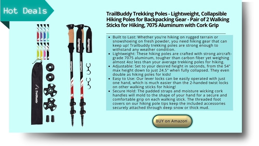 walking stick, hiking poles