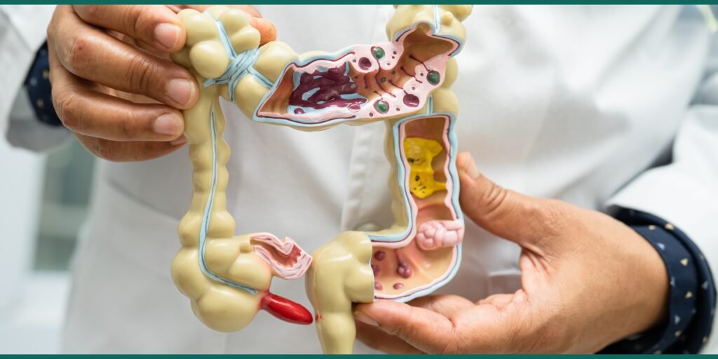 The 50+ Guide to Gut Health: Nourish Your Body, Mind, and Immunity