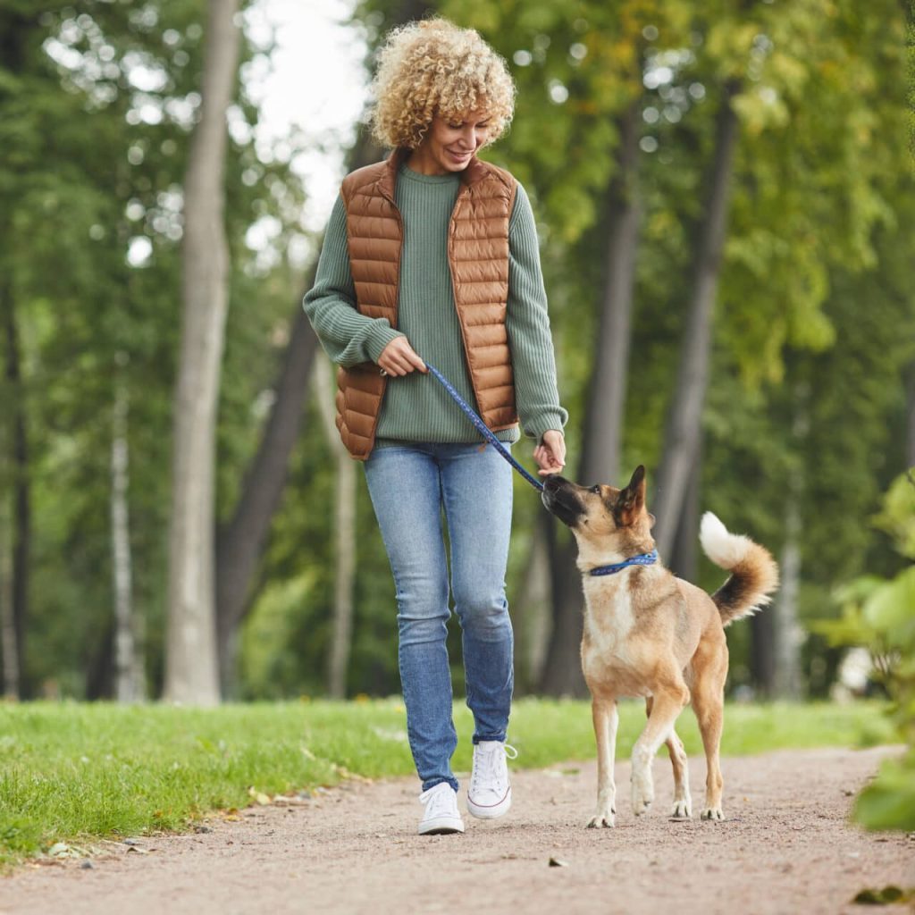 7 Incredible Ways Daily Dog Walks Boost Your Pet's Well-Being