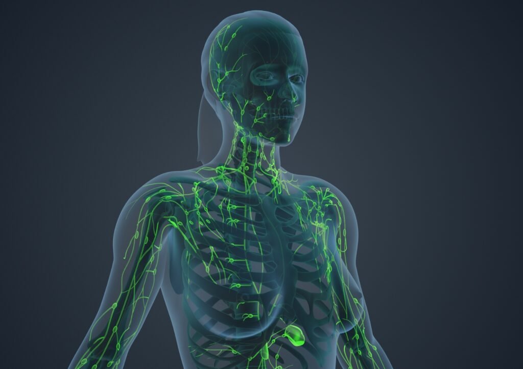 Lymphedema Treatment: Growth Factor Therapy Falls Short