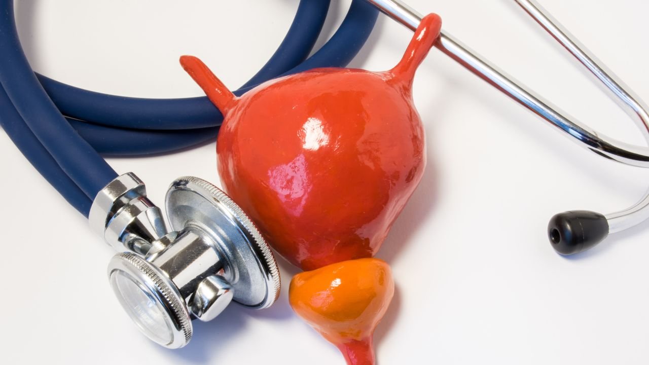 An image of a stethoscope and a prostate gland model. 