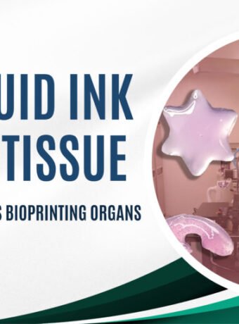 From Liquid Ink to Living Tissue: How Focused Ultrasound Is Bioprinting Organs