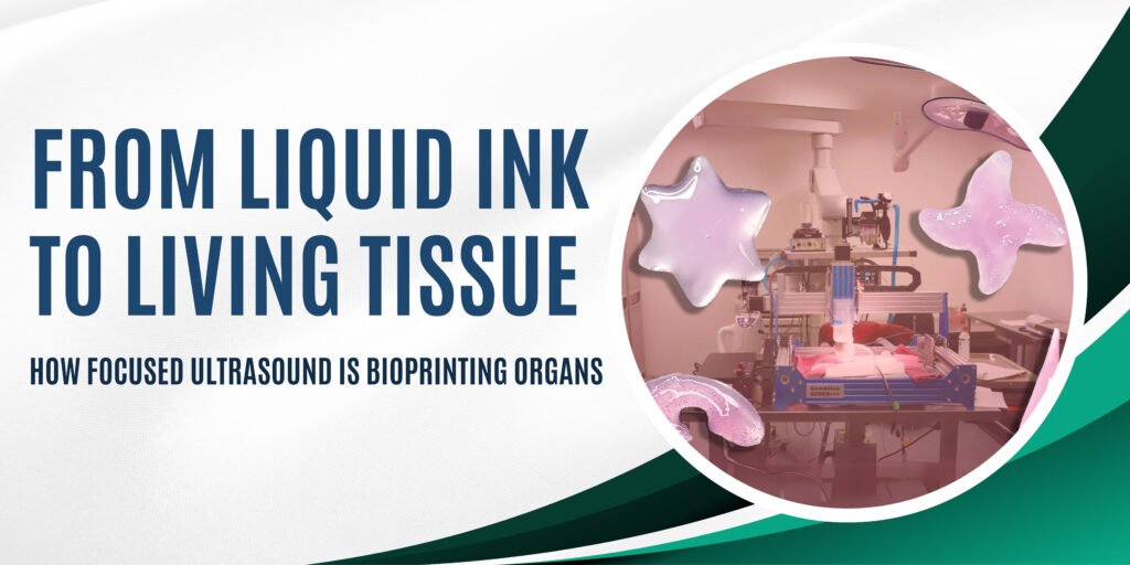 From Liquid Ink to Living Tissue: How Focused Ultrasound Is Bioprinting Organs