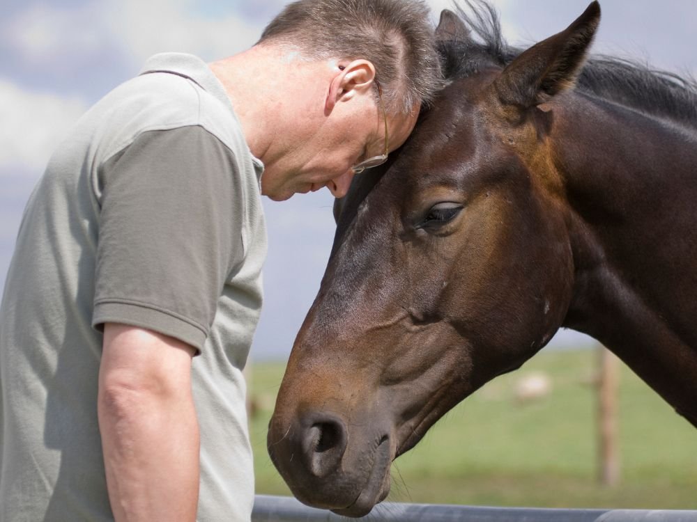 An image of a US veteran receiving equine-assisted therapy.