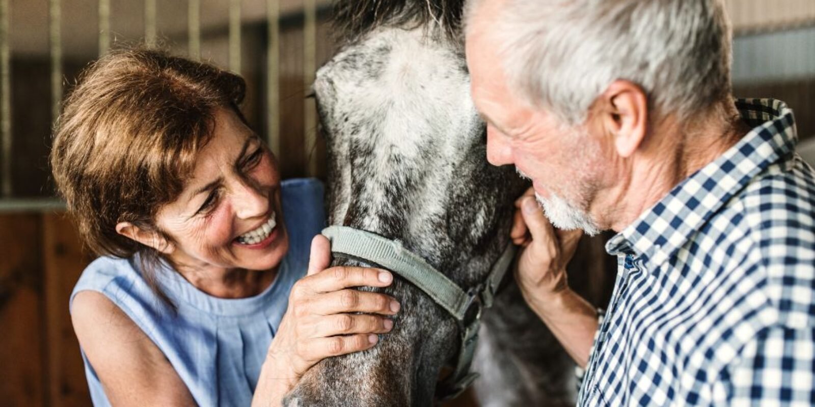 An image of US veterans receiving horse therapy.
