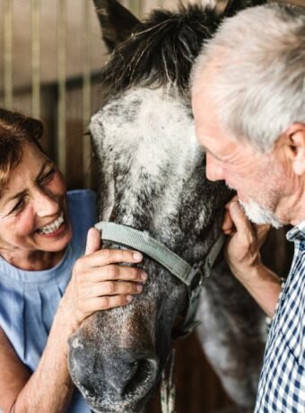 An image of US veterans receiving horse therapy.