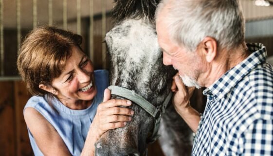 An image of US veterans receiving horse therapy.