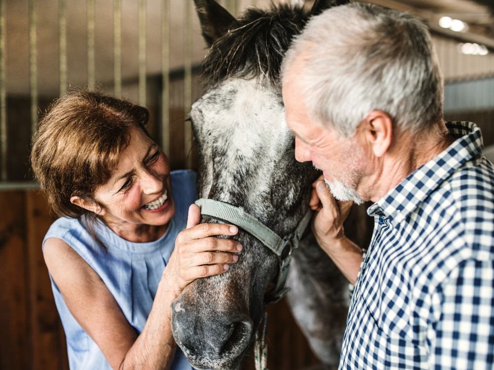 us veterans horses An image of US veterans receiving horse therapy.