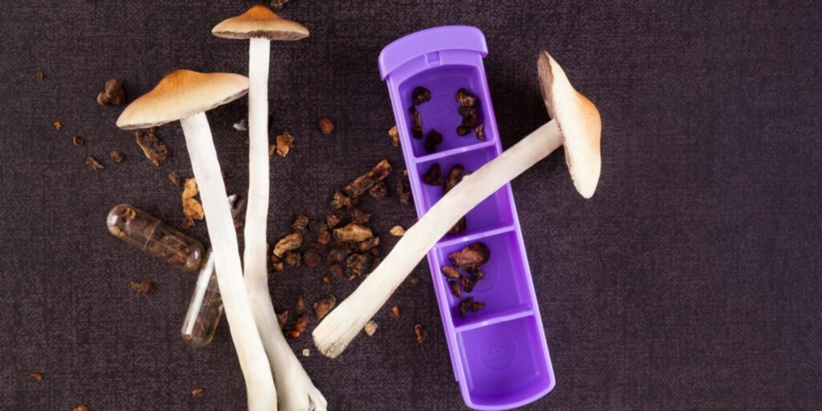 Psilocybin