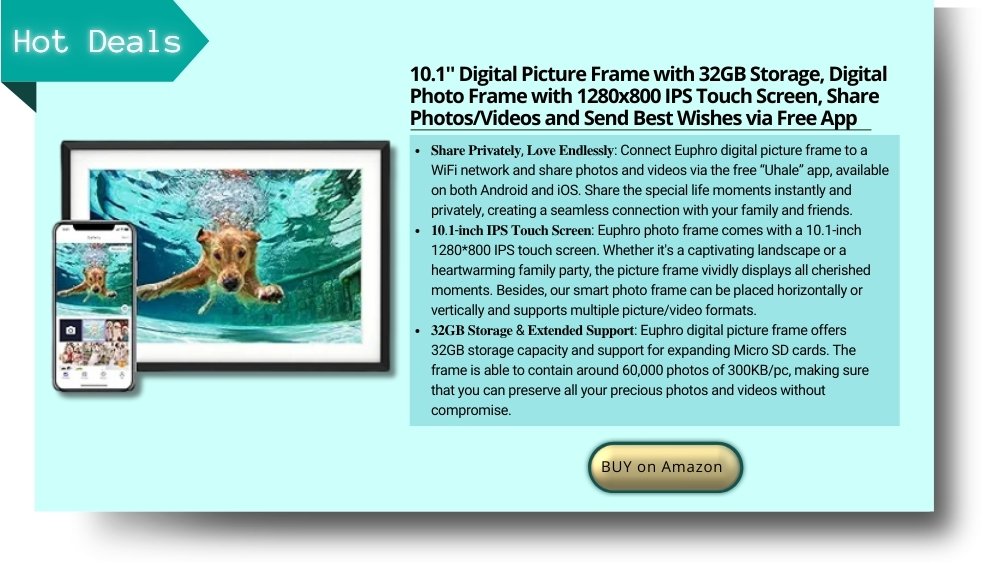 Digital Picture Frame from amazon