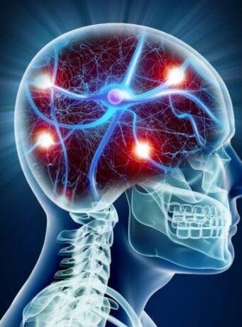 Alzheimer’s Risk Starts at Brain’s Border Cells