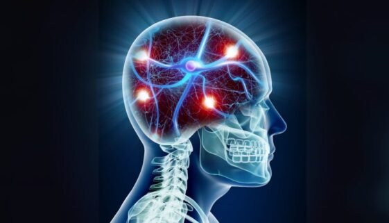 Alzheimer’s Risk Starts at Brain’s Border Cells