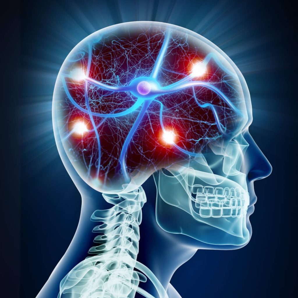 Alzheimer’s Risk Starts at Brain’s Border Cells