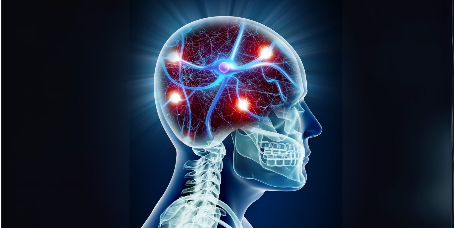 Alzheimer’s Risk Starts at Brain’s Border Cells