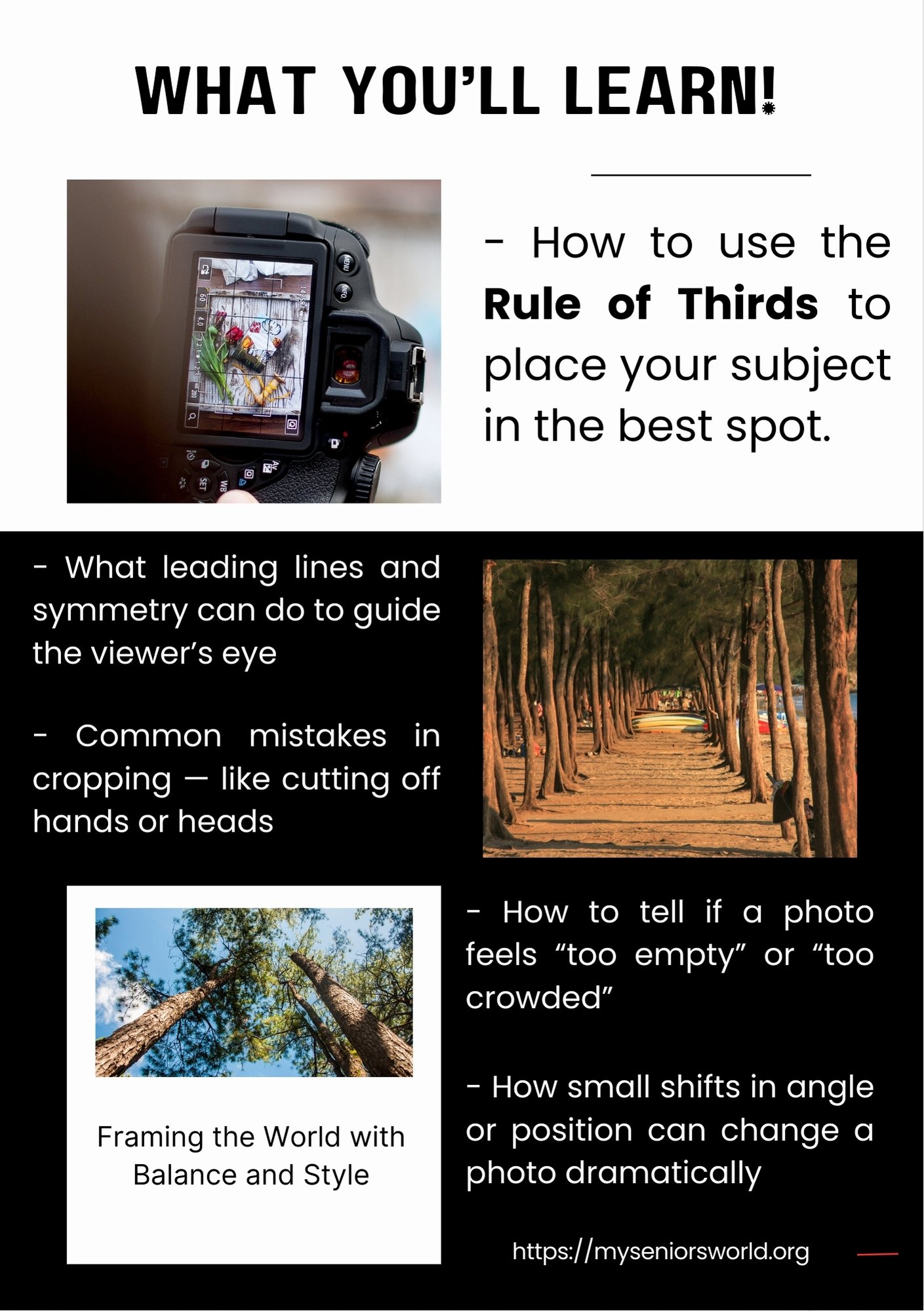 What you'll learn -composition tricks