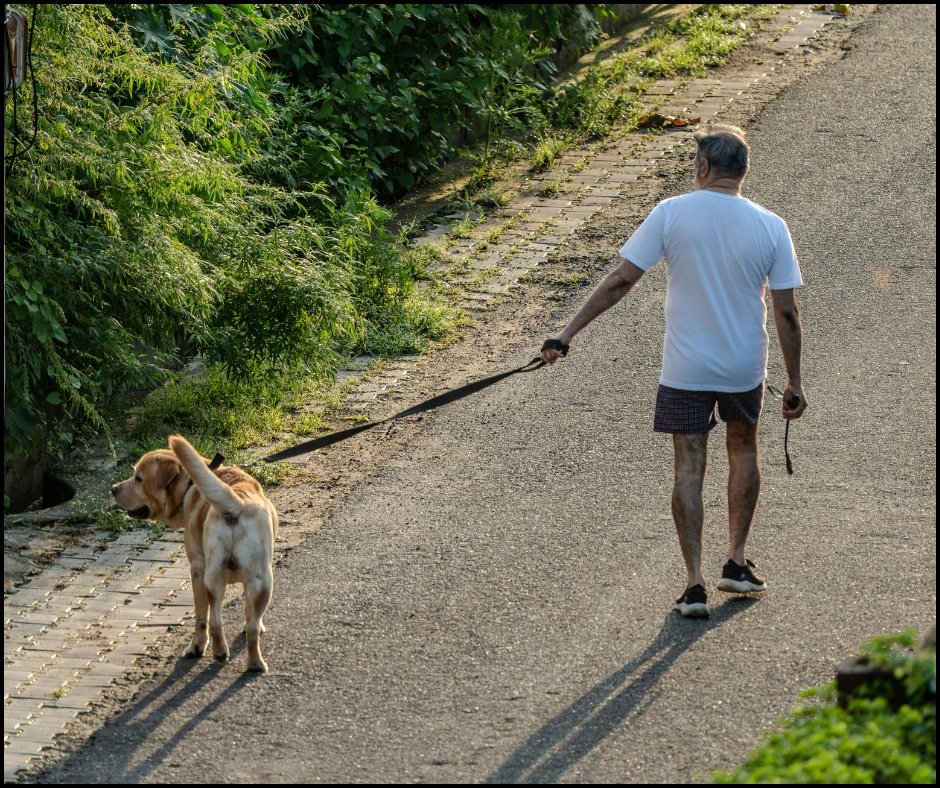 The Power of Routine: How Daily Habits Transform Well-Being for Adults Over 55