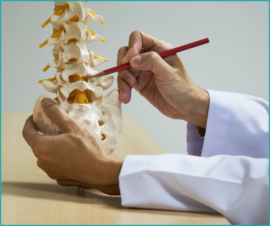 How Your Own Fat Could Help Fix Osteoporosis-Related Spine Fractures